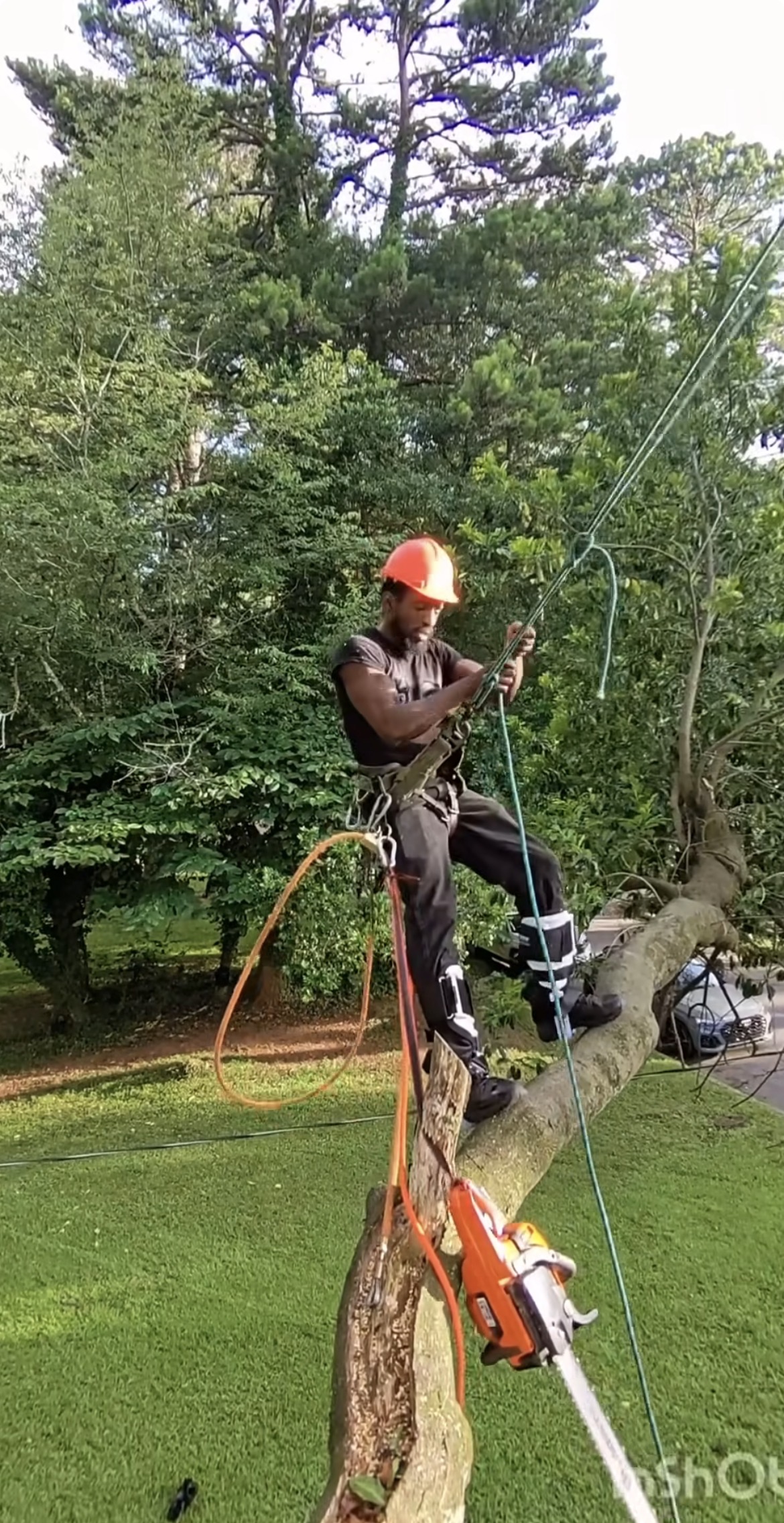 Clayvonte Climbing